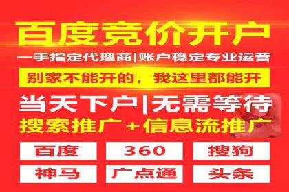 旅游行业SEM推广的实战案例分析